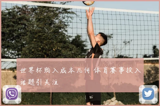 世界杯购入成本几何 体育赛事投入话题引关注