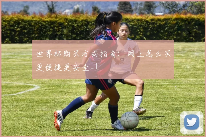 世界杯购买方式指南:网上怎么买更便捷更安全_1