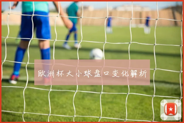 欧洲杯大小球盘口变化解析