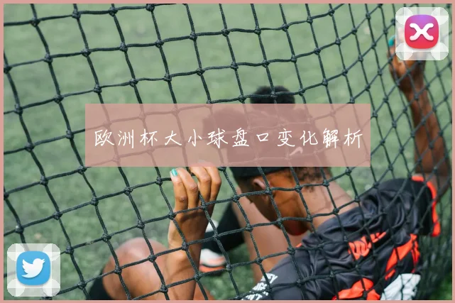 欧洲杯大小球盘口变化解析