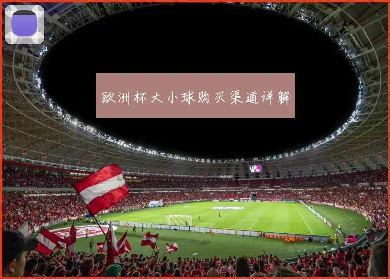 欧洲杯大小球购买渠道详解