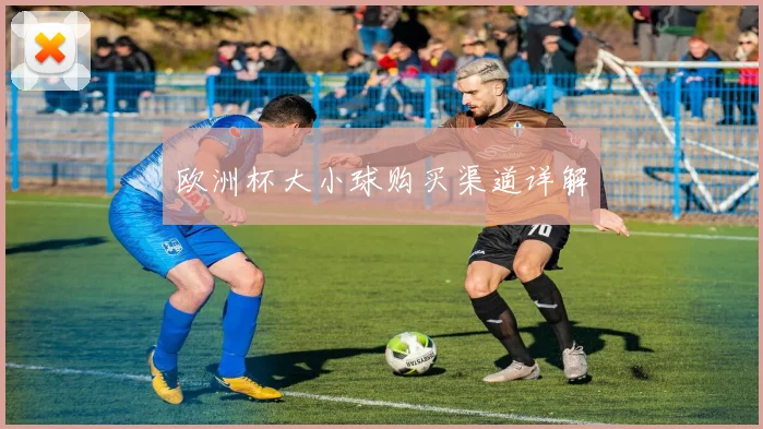 欧洲杯大小球购买渠道详解