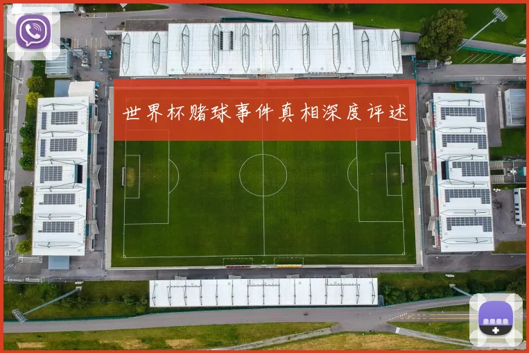 世界杯赌球事件真相深度评述