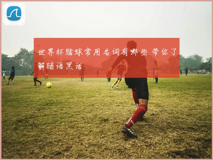 世界杯赌球常用名词有哪些 带你了解暗语黑话