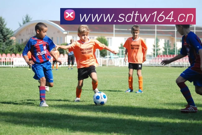 辅助工具 辅助工具